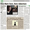 Elvis Black Stars : Force Doberman